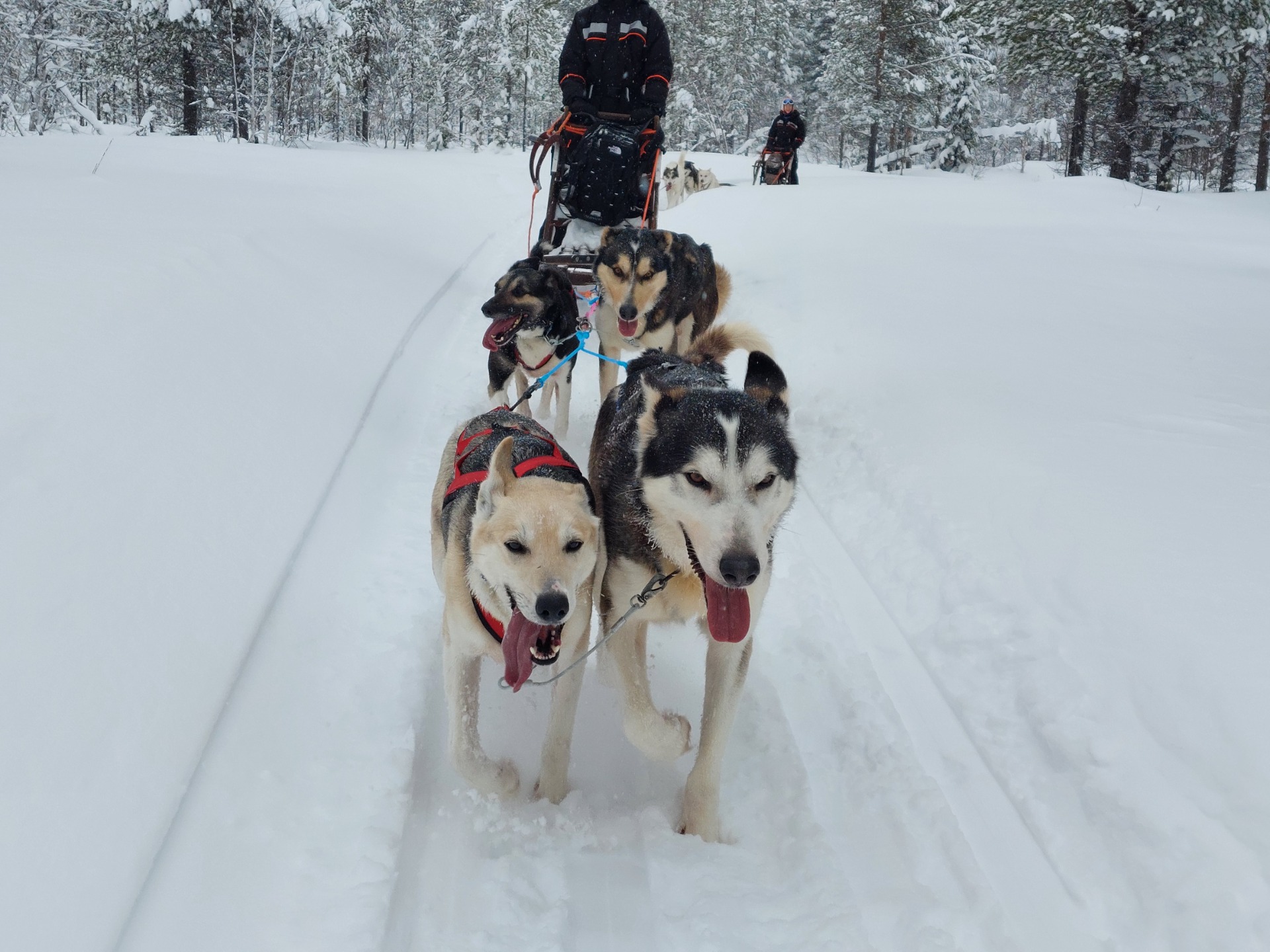 På tur i det fantastiske landskab.
